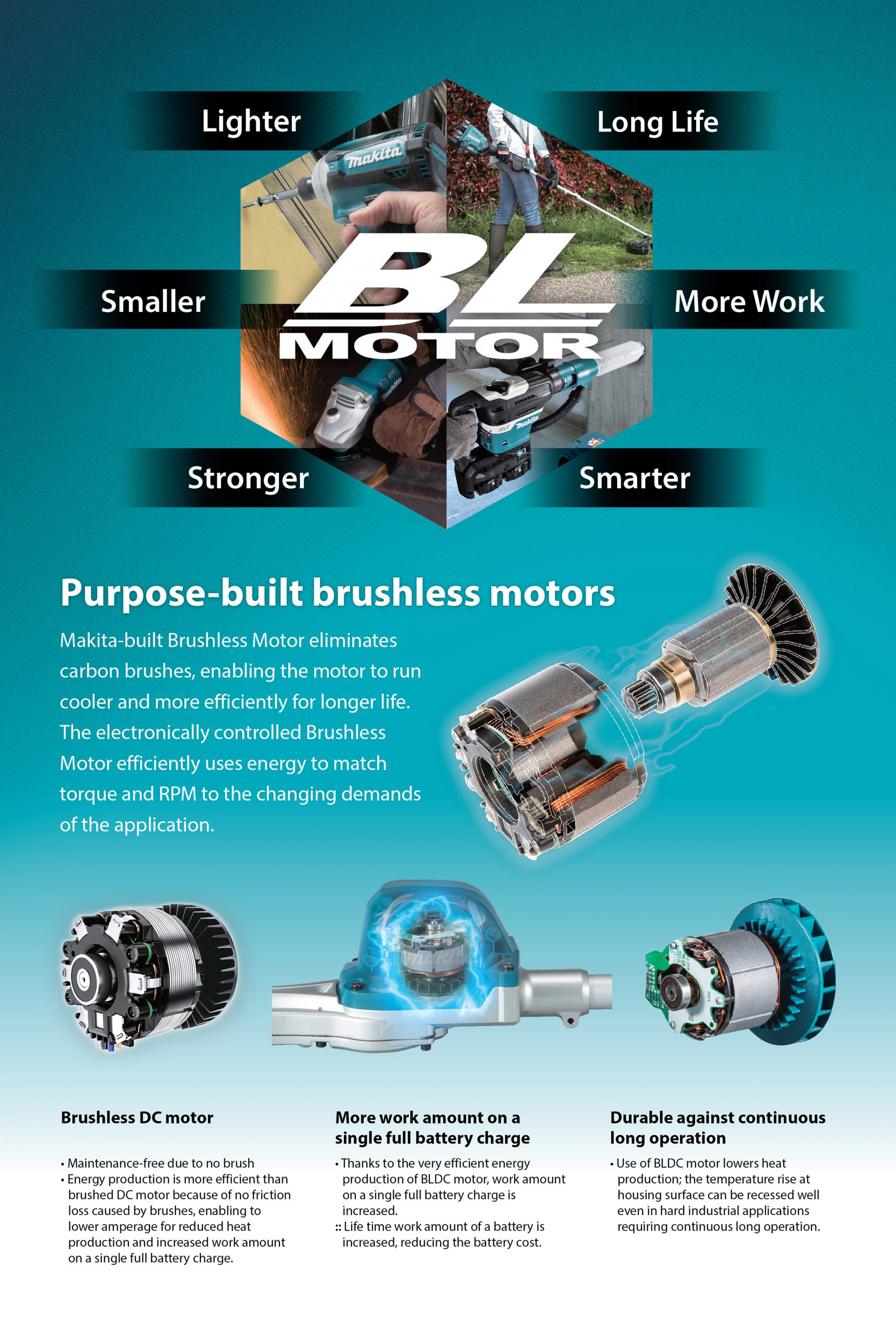 BL Motor - Makita BL Motor - Makita